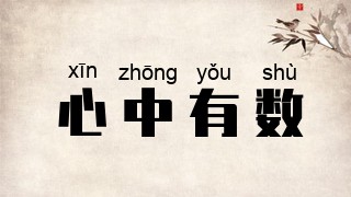 心中有数
