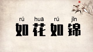 如花如锦