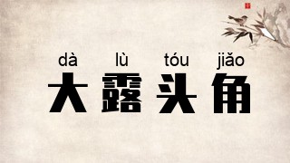 大露头角
