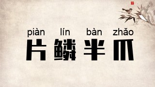 片鳞半爪