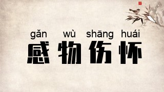 感物伤怀