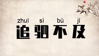 追驷不及