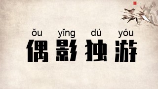 偶影独游