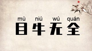 目牛无全