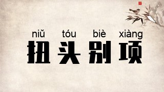 扭头别项