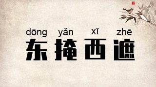 东掩西遮