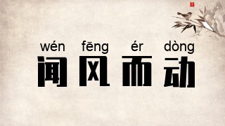 闻风而动