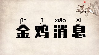 金鸡消息