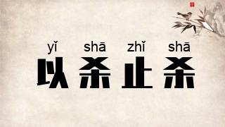 以杀止杀