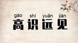 高识远见