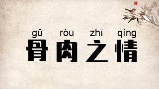 骨肉之情