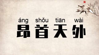昂首天外