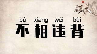 不相违背