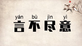 言不尽意