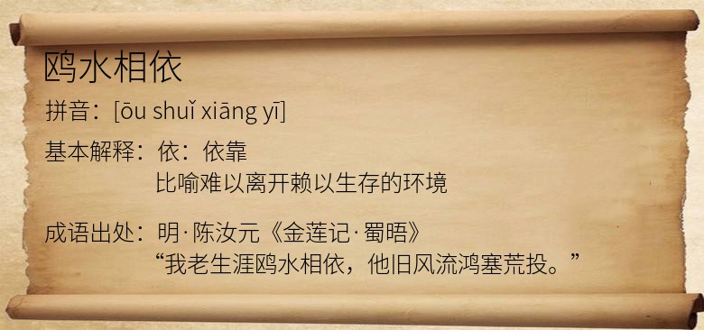 鸥水相依