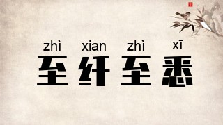 至纤至悉