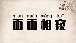 面面相窥