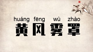 黄风雾罩