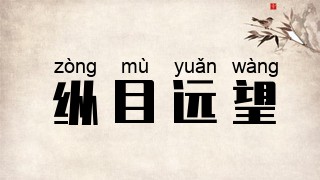 纵目远望