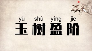玉树盈阶