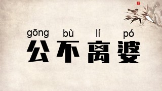 公不离婆