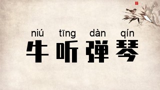 牛听弹琴