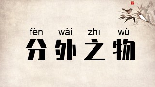 分外之物