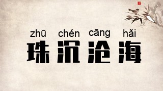 珠沉沧海