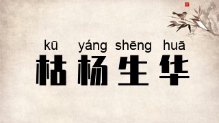 枯杨生华