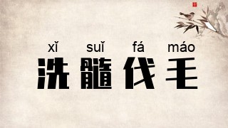 洗髓伐毛