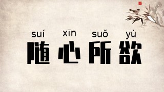 随心所欲