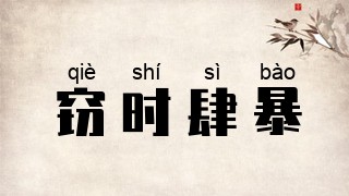 窃时肆暴