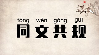 同文共规