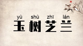 玉树芝兰