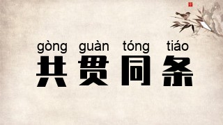 共贯同条