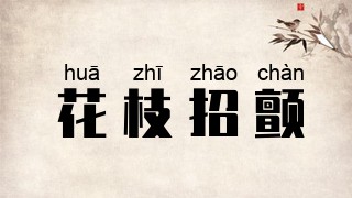 花枝招颤