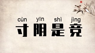 寸阴是竞