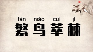 繁鸟萃棘