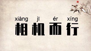 相机而行