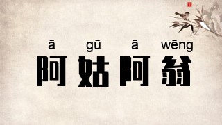 阿姑阿翁