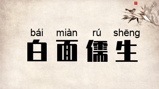 白面儒生