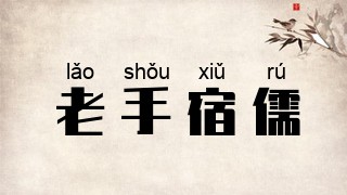 老手宿儒