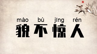 貌不惊人