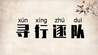 寻行逐队