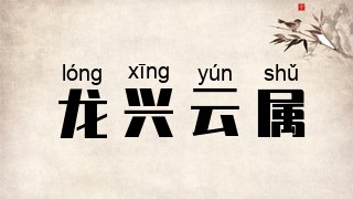 龙兴云属