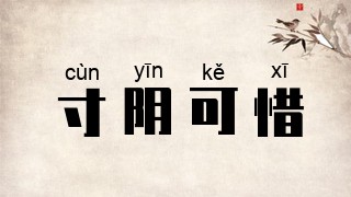 寸阴可惜