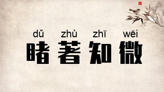 睹著知微