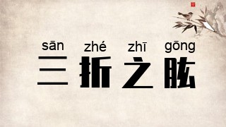 三折之肱