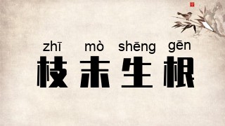 枝末生根