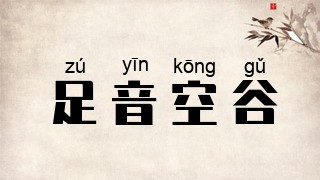 足音空谷